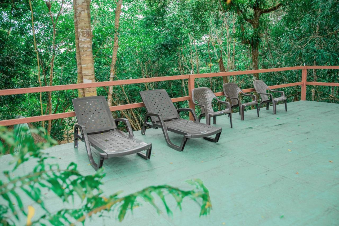 Caiman Eco Lodge Aguarico المظهر الخارجي الصورة